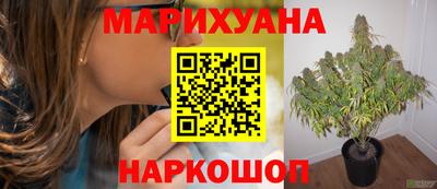 гашиш Можга