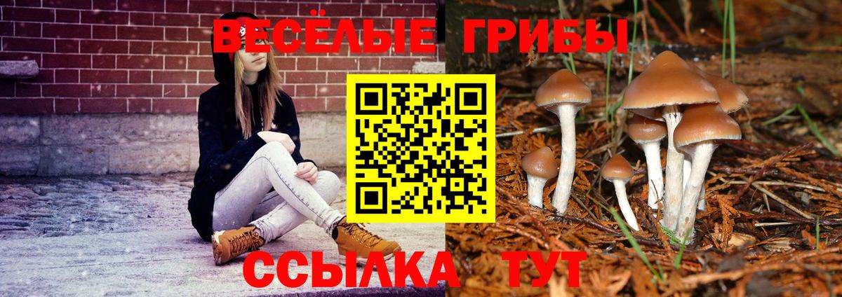 Псилоцибиновые грибы мухоморы  Вход с VPN  Горно-Алтайск 